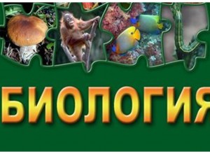 ИНФОРМАЦИОННО-МЕТОДИЧЕСКОЕ ПИСЬМО_БИОЛОГИЯ